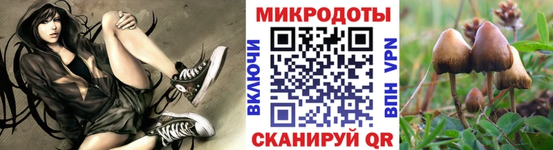 блэк спрут рабочий сайт Бахчисарай Псилоцибиновые грибы Psilocybe